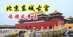 想大鸡吧插进的视频中国北京-东城古宫旅游风景区